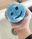 SMiley Sponge thumbnail